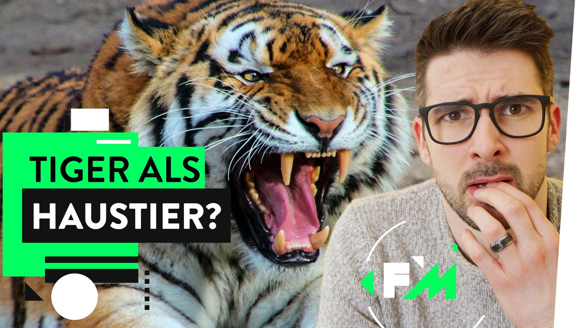 Tiger King in Deutschland: Raubtier in 3-Zimmer Wohnung?