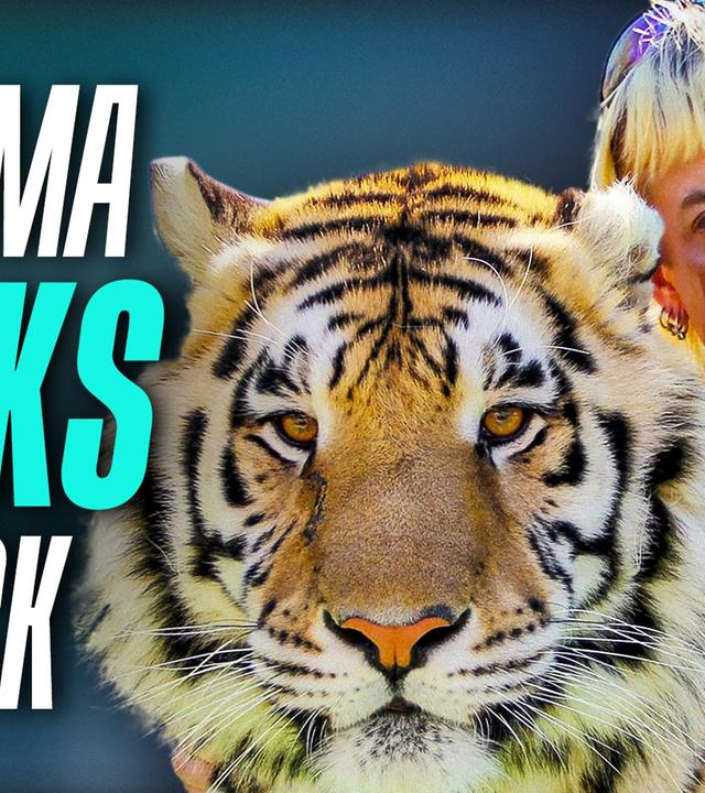 TIGER KING: So geht es weiter! - Cinema Talks Back