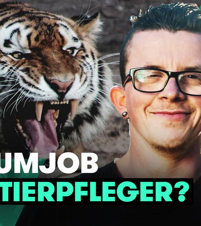 Tiger King vs. Realität: So ist die Arbeit mit Raubkatzen wirklich - TRU DOKU