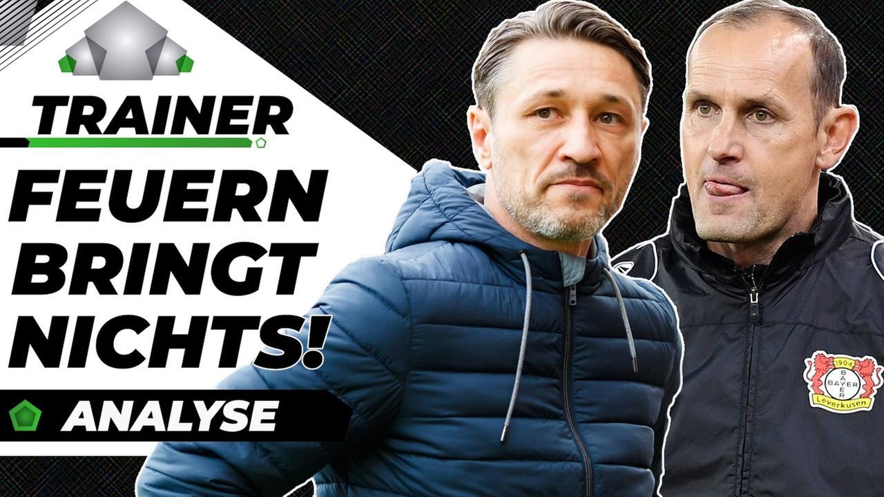 Trainer Rauswurf: Das ist völlig sinnlos! - Analyse