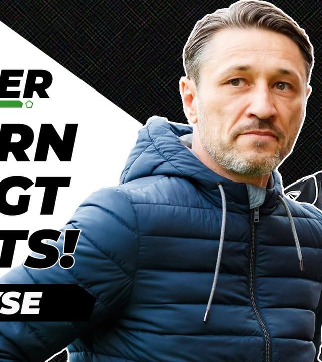 Trainer Rauswurf: Das ist völlig sinnlos! - Analyse