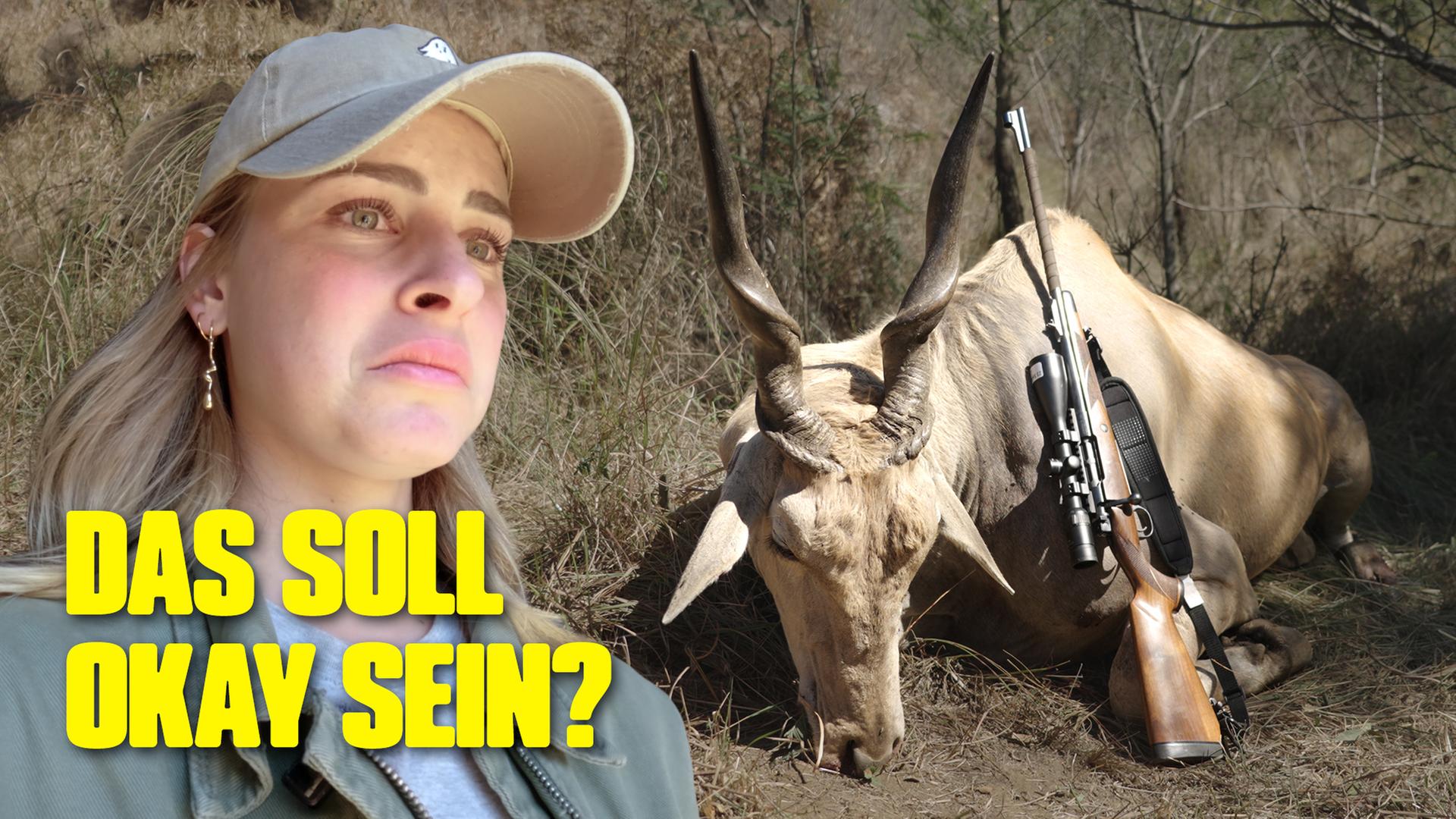 Trophäenjagd in Südafrika: Töten als Abenteuer?