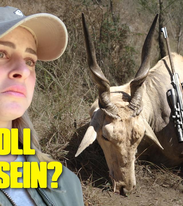 Trophäenjagd in Südafrika: Töten als Abenteuer?