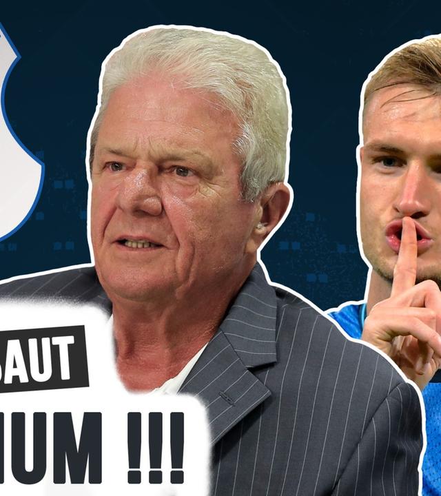 TSG Hoffenheim: Mit "Farmteams" zum Top-Klub werden?!