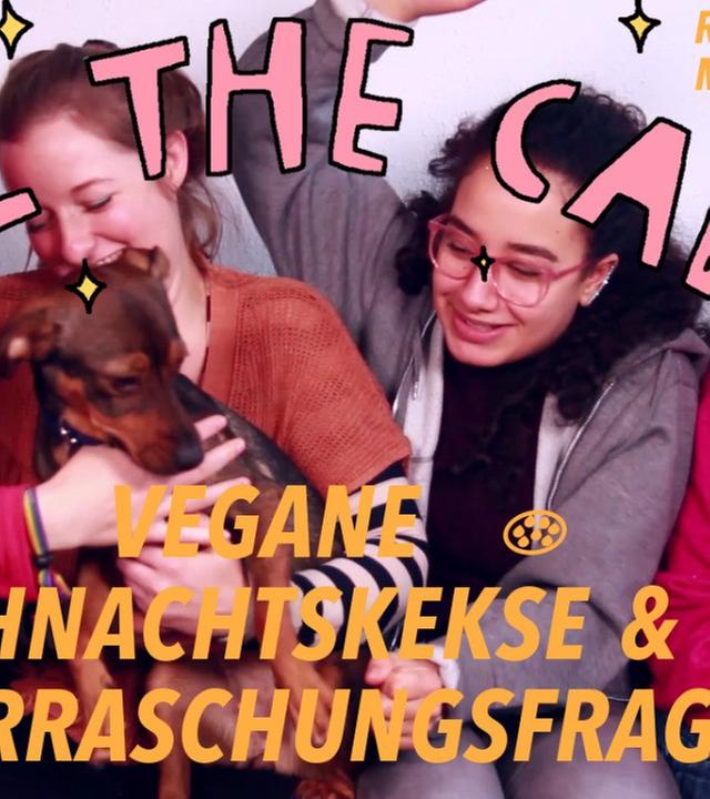 ÜBERRASCHUNGSFRAGEN und DIE SCHNELLSTEN VEGANEN WEIHNACHTSPLÄTZCHEN DER WELT! #5 STC