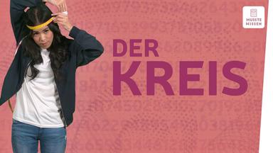 Umfang und Fläche von Kreisen I musstewissen Mathe