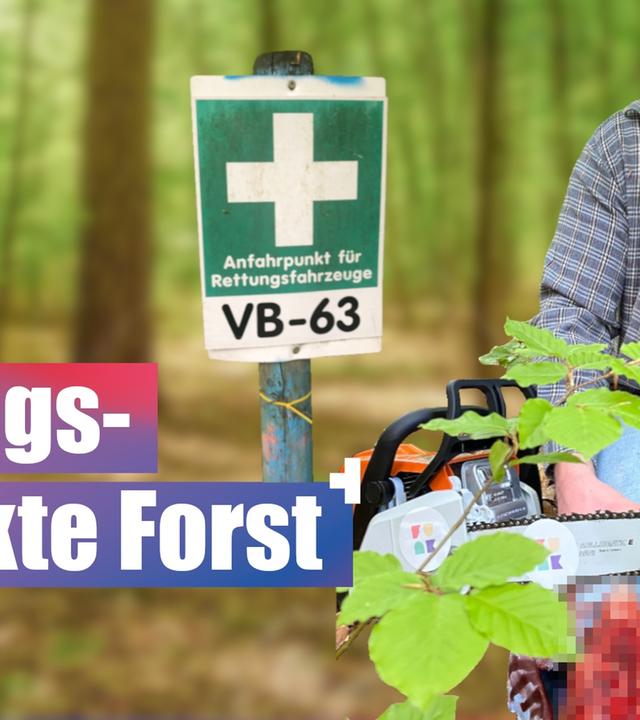 Unfall im Wald! Rettungspunkte Forst - So findet dich der Rettungsdienst