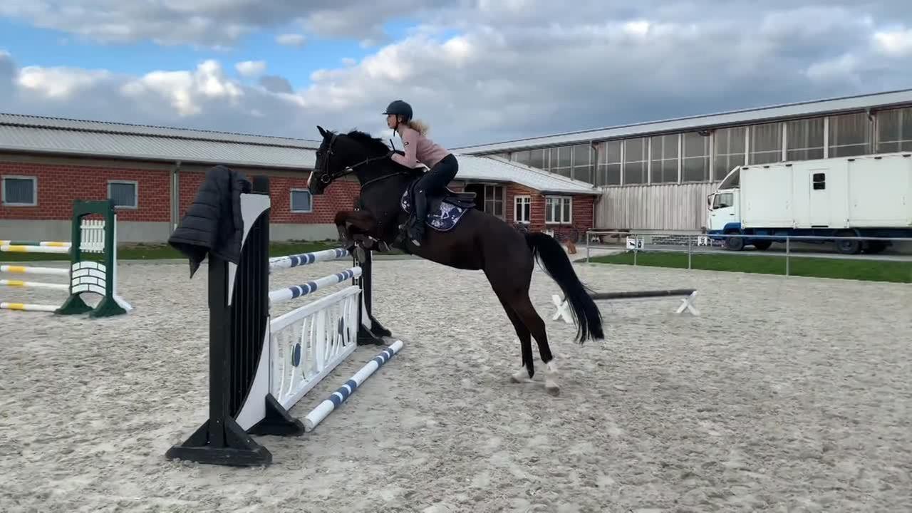 Unser ERSTES Draußenturnier - SIEG und Doppelnull ! / FMA