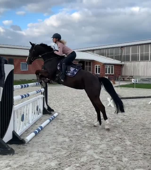 Unser ERSTES Draußenturnier - SIEG und Doppelnull ! / FMA