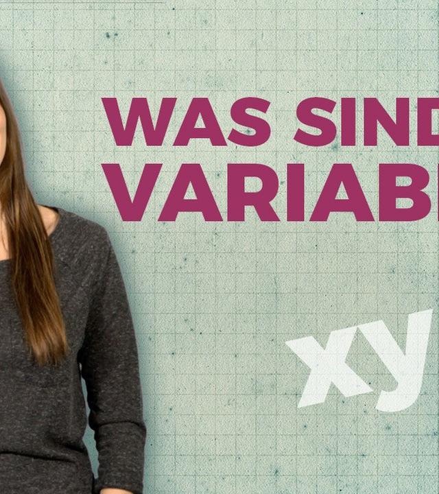 Variablen schnell erklärt I musstewissen Mathe