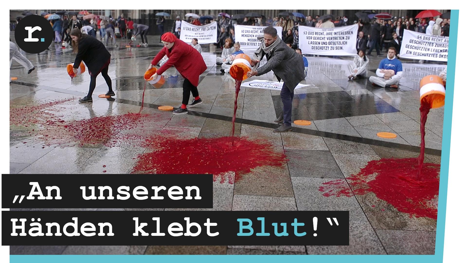 Vegane Aktivisten - Straftaten für Tierrechte!?