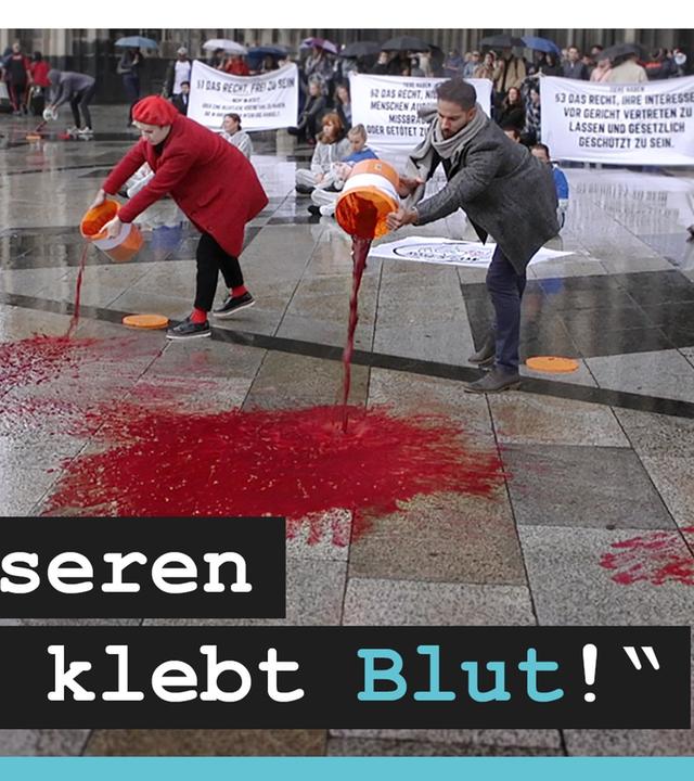 Vegane Aktivisten - Straftaten für Tierrechte!?