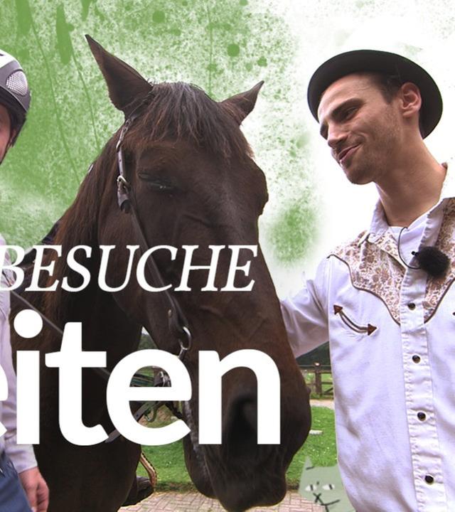 V.I.D #1 Reiten lernen mit Simon von Rocket Beans TV - Kliemannsland