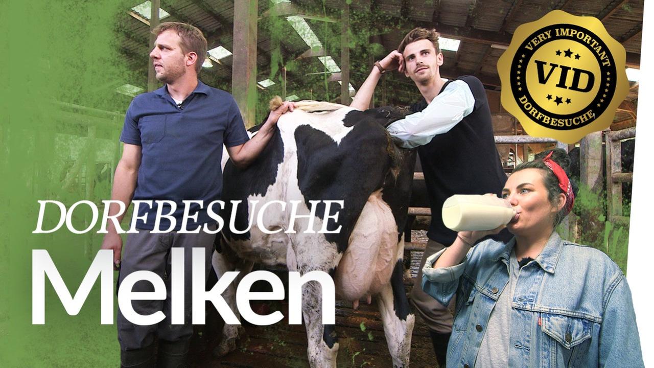 V.I.D #2 Melken mit Franzi & Fynn besamt 'ne Kuh - Kliemannsland