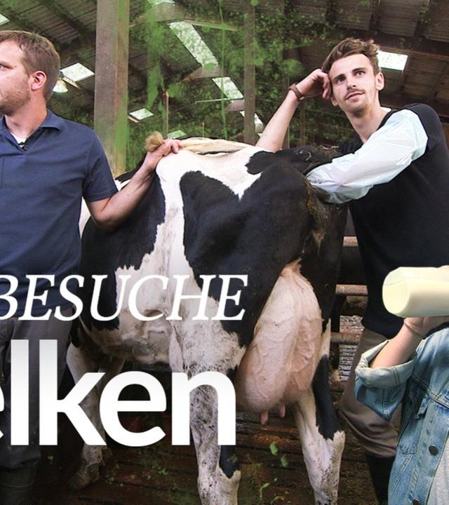 V.I.D #2 Melken mit Franzi & Fynn besamt 'ne Kuh - Kliemannsland