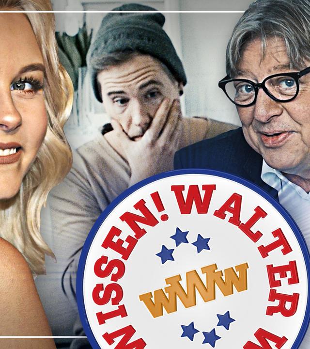 Video mit Böhmermann, Dagibee, Webvideopreis, uvm. - WalterWillsWissen