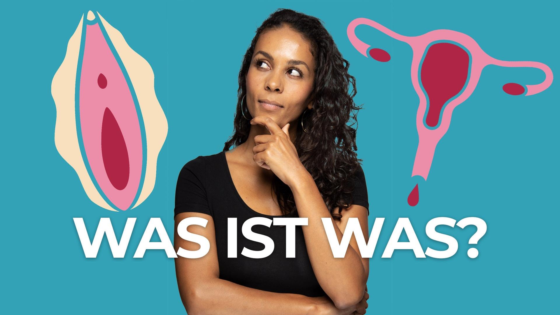 Vulva und Vagina - der Mythos um die weiblichen Geschlechtsorgane