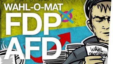 Wahl-O-Mat AfD & FDP - AEKMMN