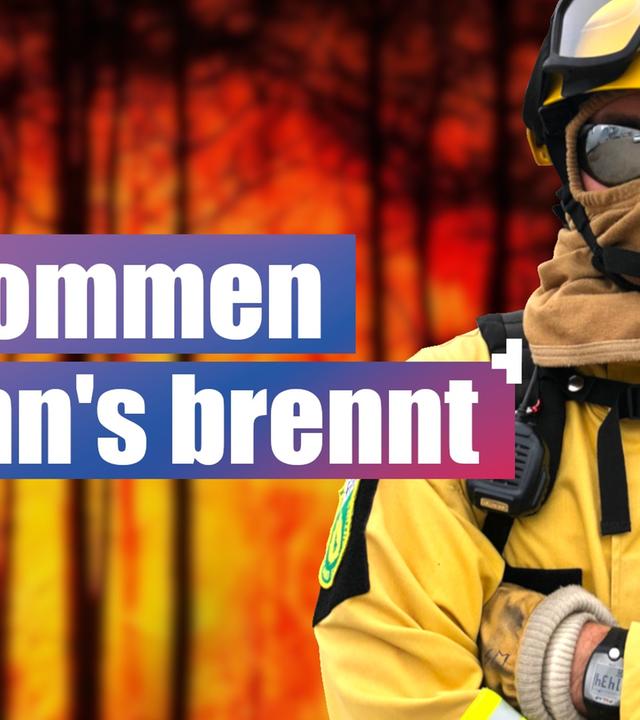 Waldbrand löscht nicht nur die Feuerwehr! Vegetationsbrand-Übung
