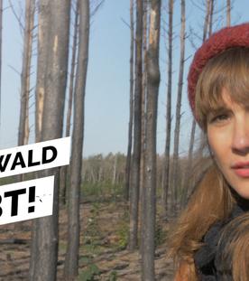 Waldsterben – Wie schlimm es wirklich ist und was wir tun können