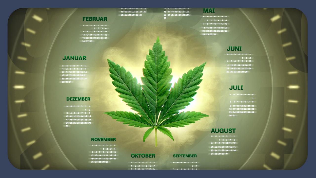 Wann wird Cannabis wirklich legal?
