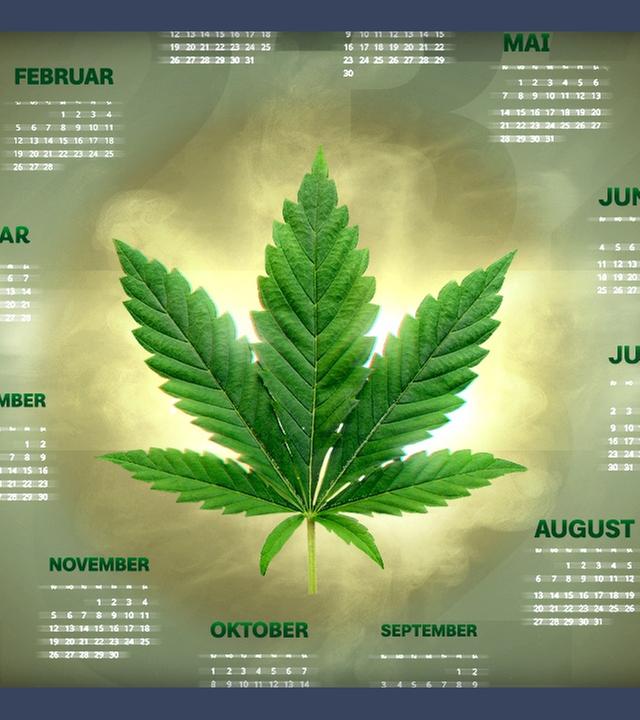 Wann wird Cannabis wirklich legal?