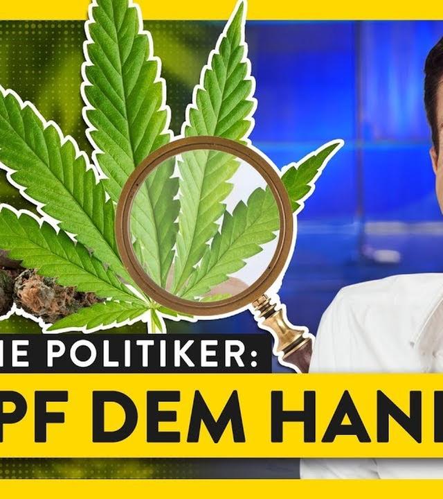 Warum Cannabis wirklich verboten ist - WALULIS