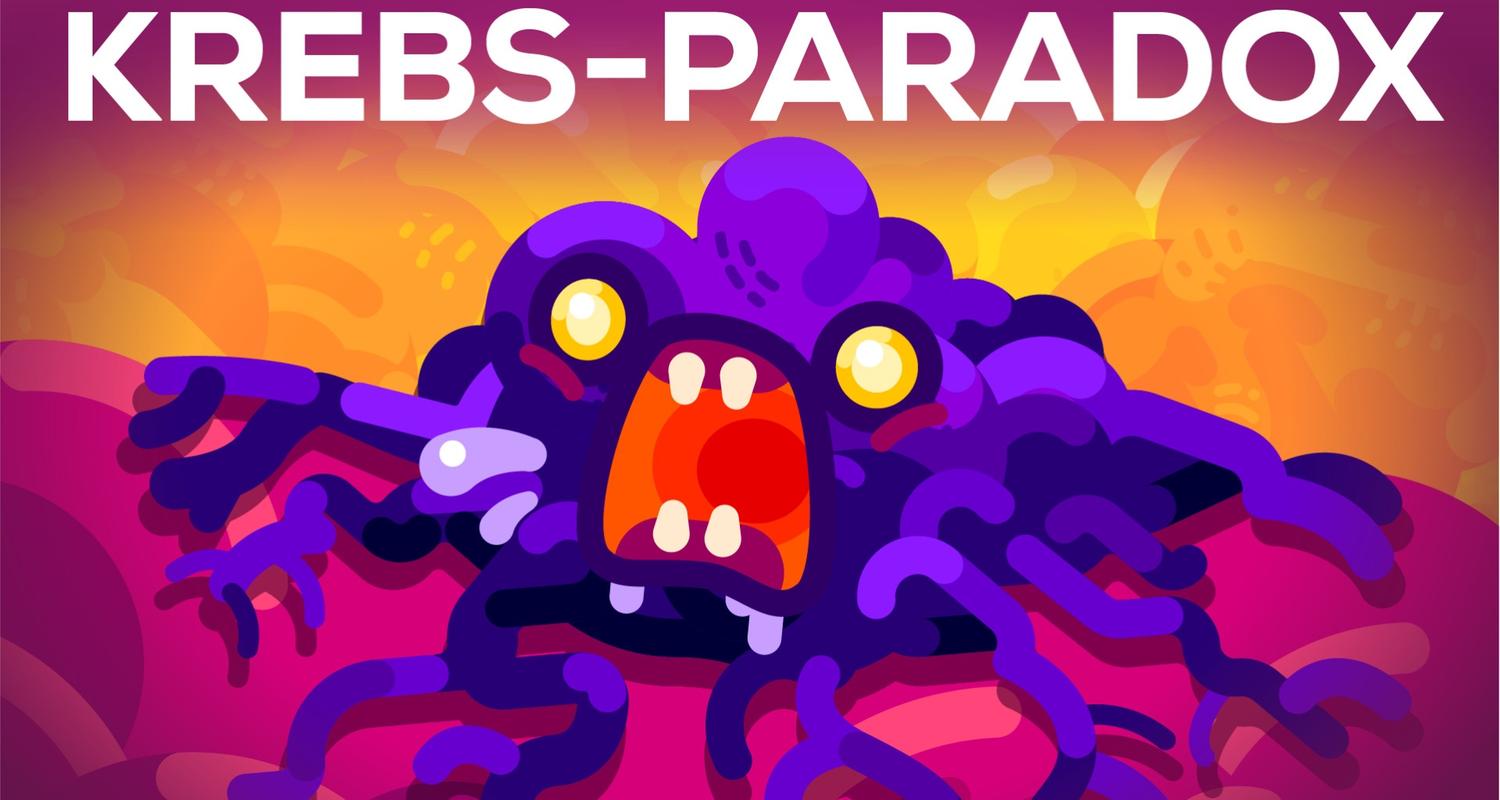 Warum kriegen Blauwale keinen Krebs? - Petos Paradoxon