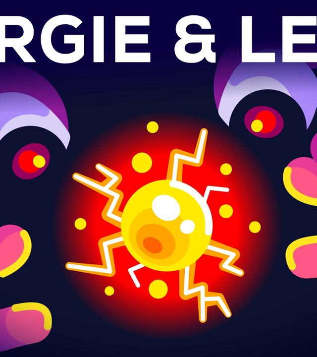 Warum lebst du? - Energie & Entropie