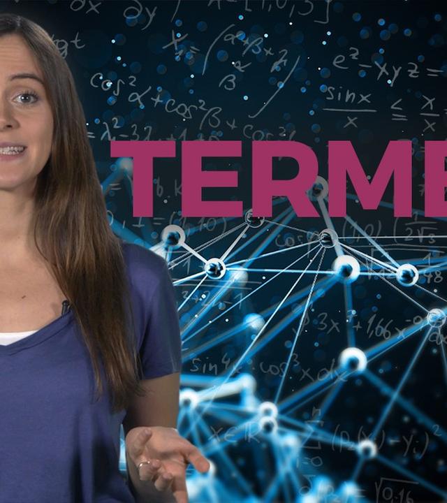 Was ist ein Term? I musstewissen Mathe