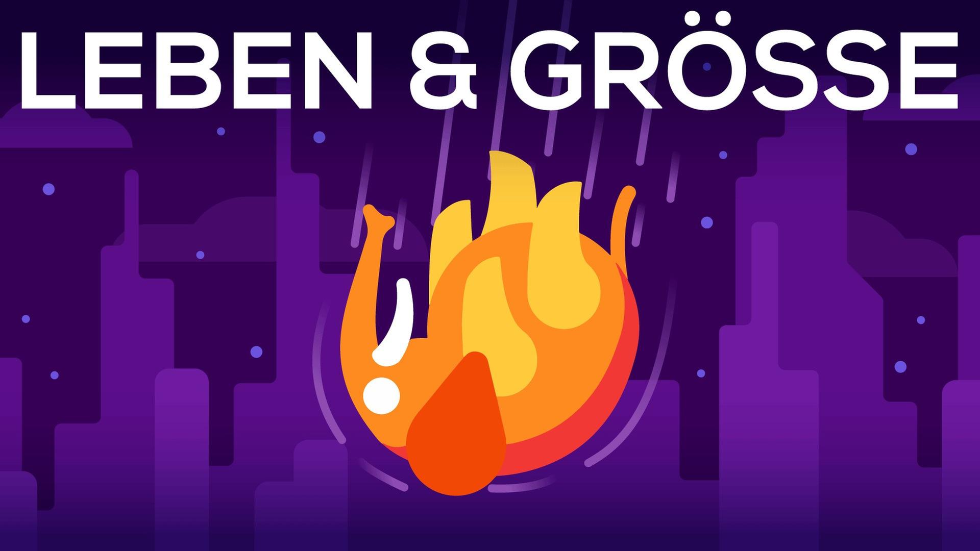 Was passiert, wenn man einen Elefanten von einem Wolkenkratzer wirft? (Leben & Größe 1)