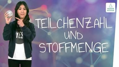 Was sind Teilchenzahl und Stoffmenge ? I musstewissen Chemie