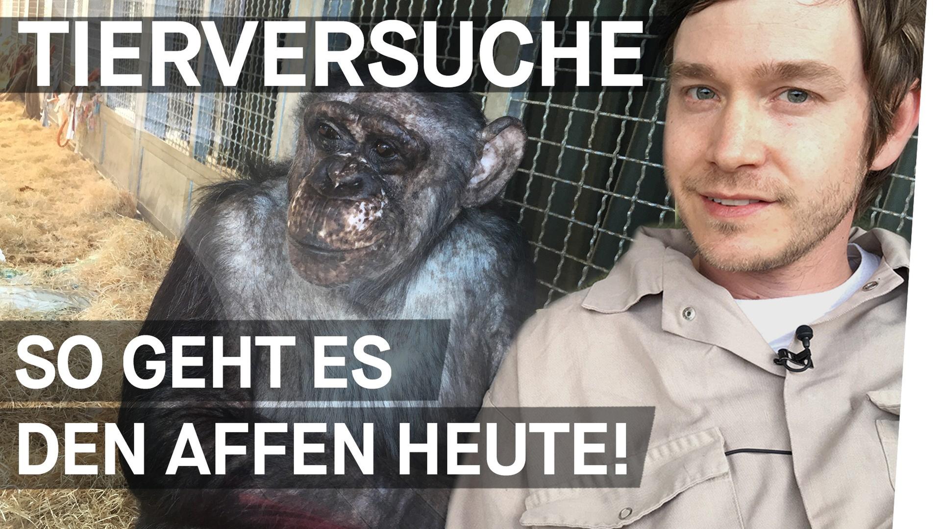Was Tierversuche mit Affen machen - Warum lassen wir Tiere leiden? Folge 3