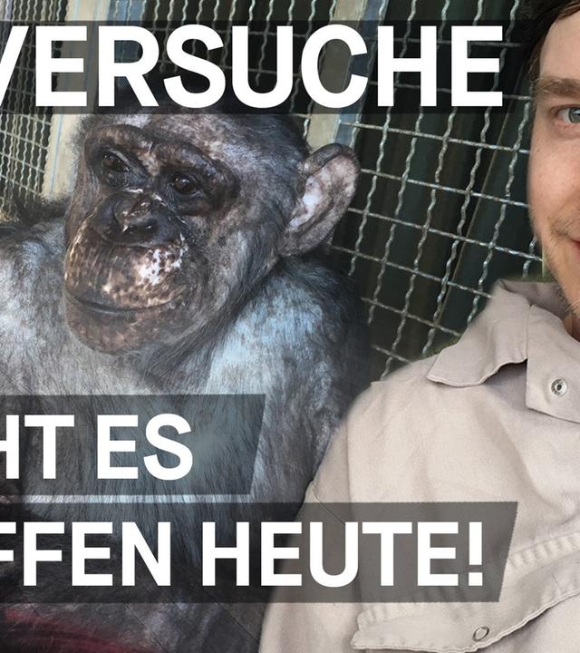 Was Tierversuche mit Affen machen - Warum lassen wir Tiere leiden? Folge 3