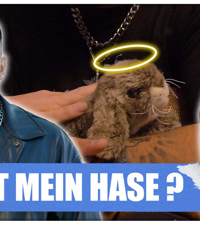Was war das für ein Hoppla! - Parshad