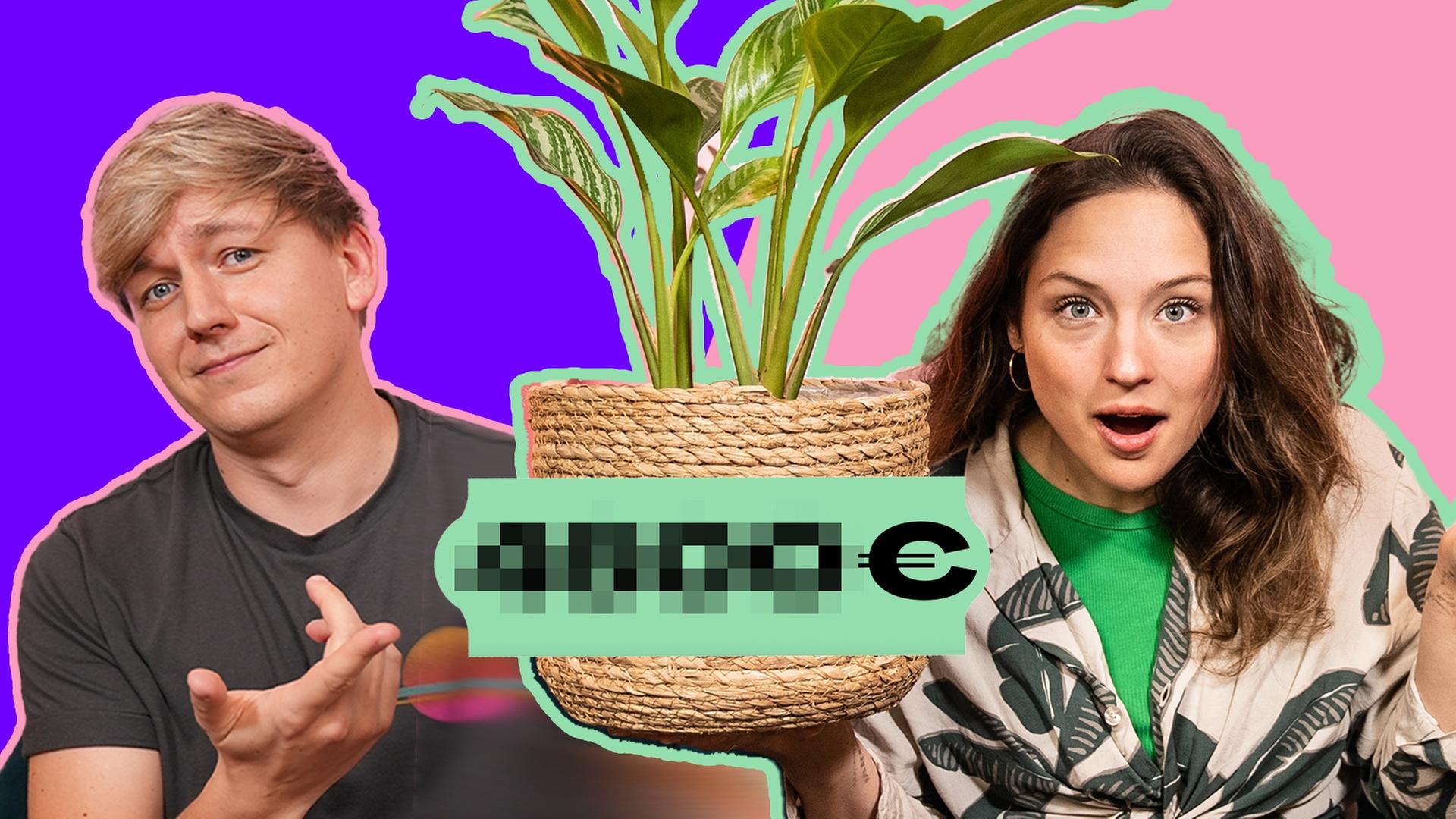 Welche PFLANZE kostet TAUSEND Euro? (Quiz)