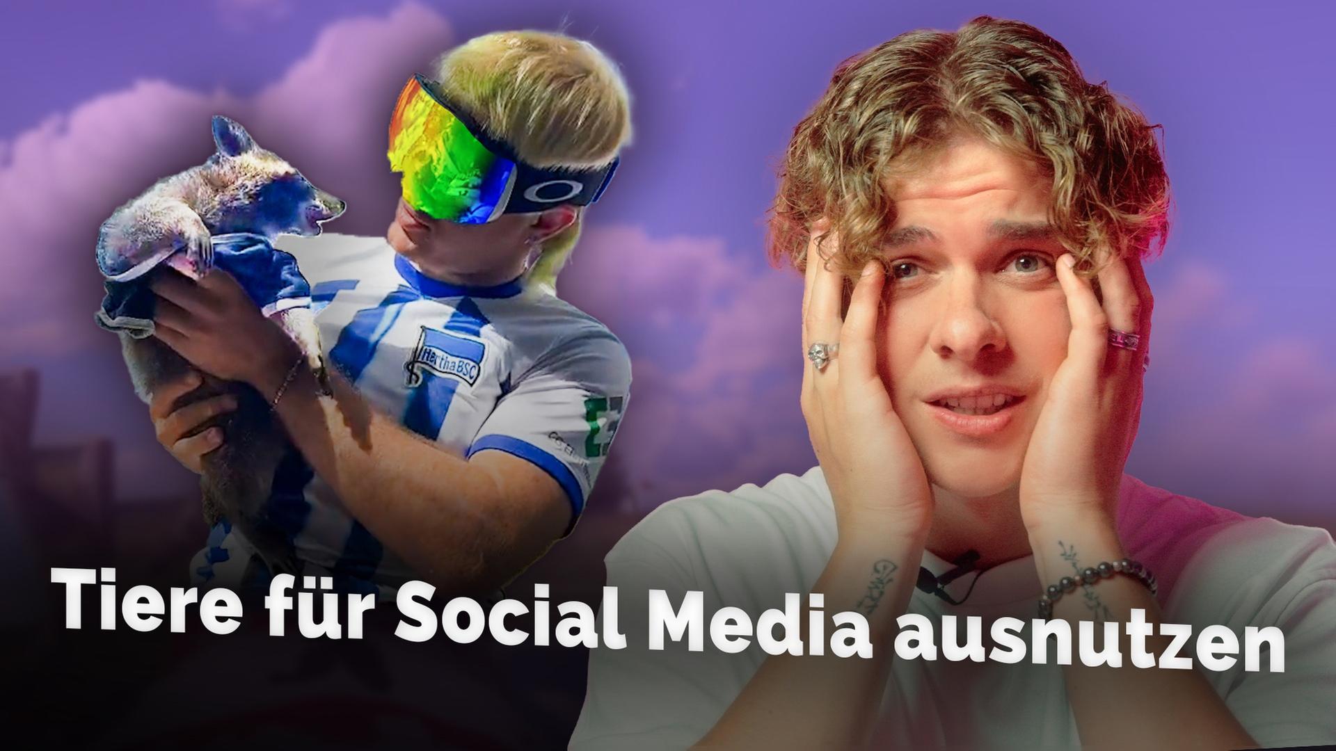 Wenn Tierleid für Klicks ausgenutzt wird