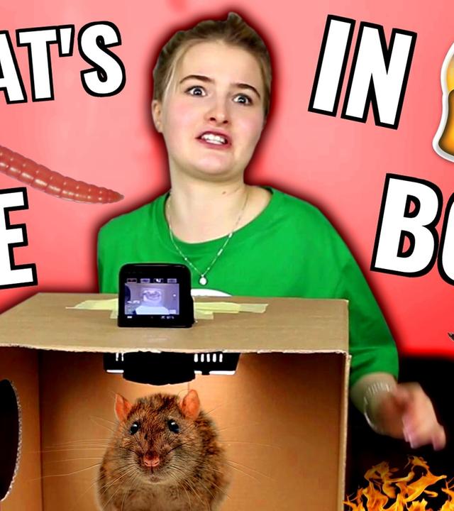 What's in the Box Challenge 2