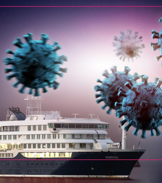 Wie gefährlich ist das Hantavirus?