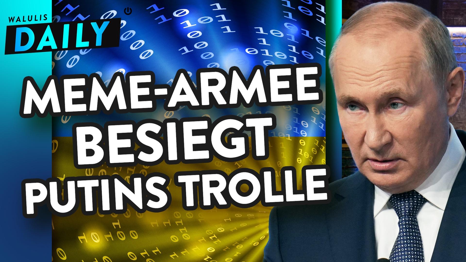 Wie Hunde-Memes ukrainische Waffen finanzieren - WALULIS DAILY