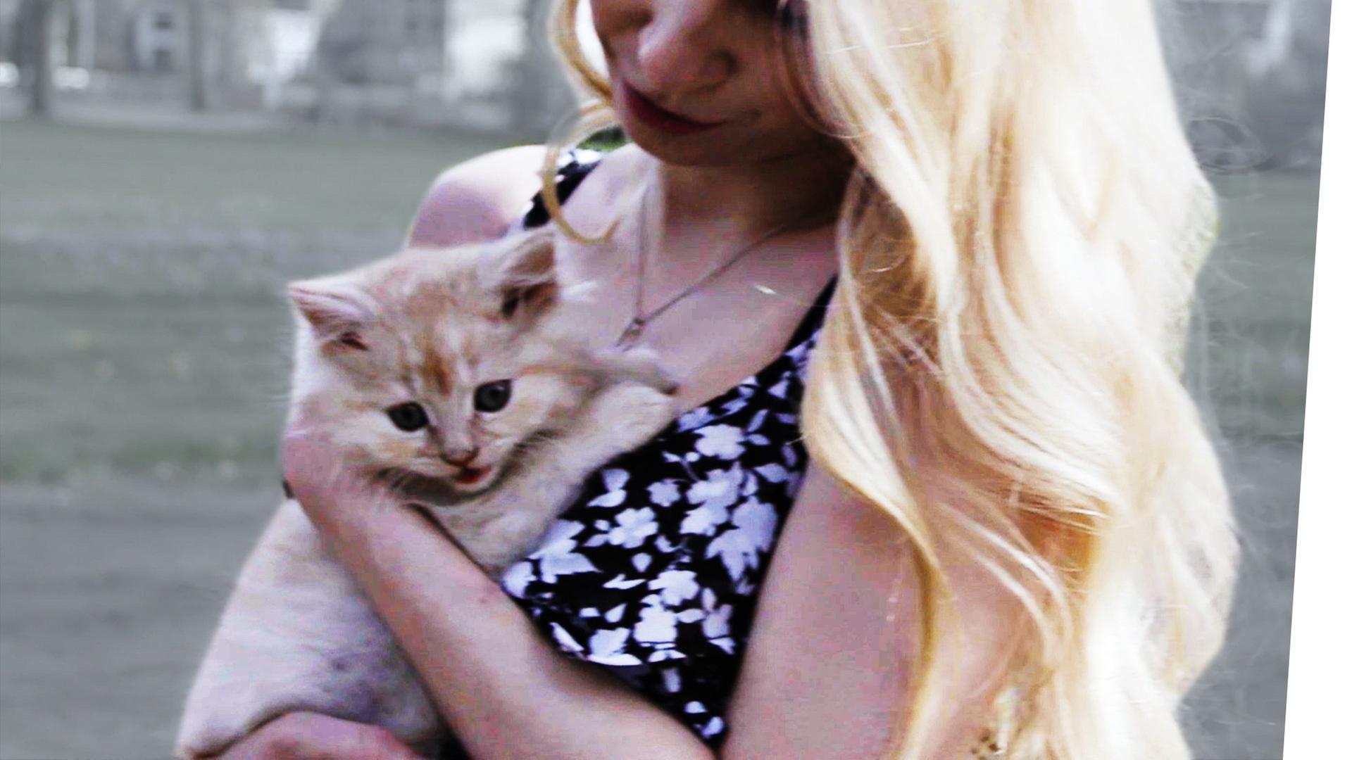 Wie macht man ein VIRALES VIDEO?