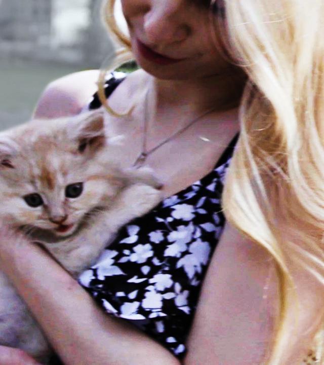 Wie macht man ein VIRALES VIDEO?