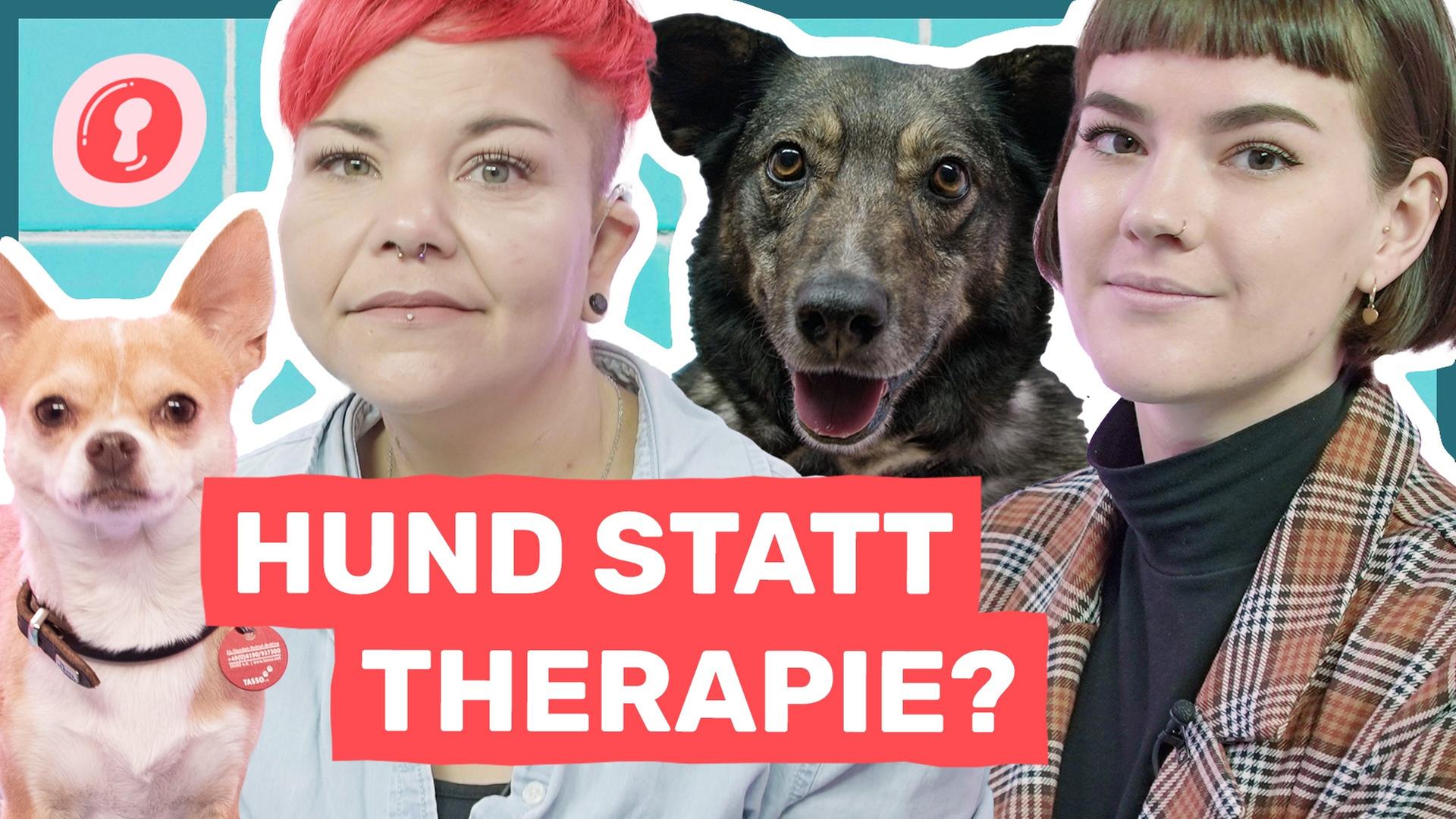 Wie mein Hund mein Leben verändert hat - Auf Klo