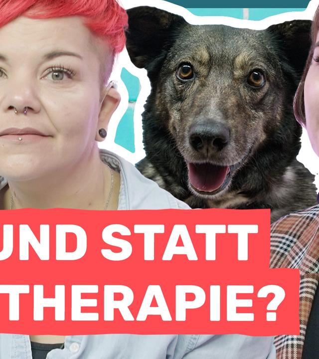 Wie mein Hund mein Leben verändert hat - Auf Klo
