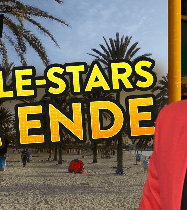 Wie verzweifelt Malle-Stars jetzt Geld machen müssen - WALULIS DAILY