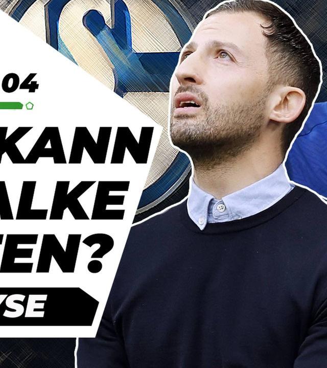 Wieso Schalke gegen den Abstieg kämpft! - Analyse