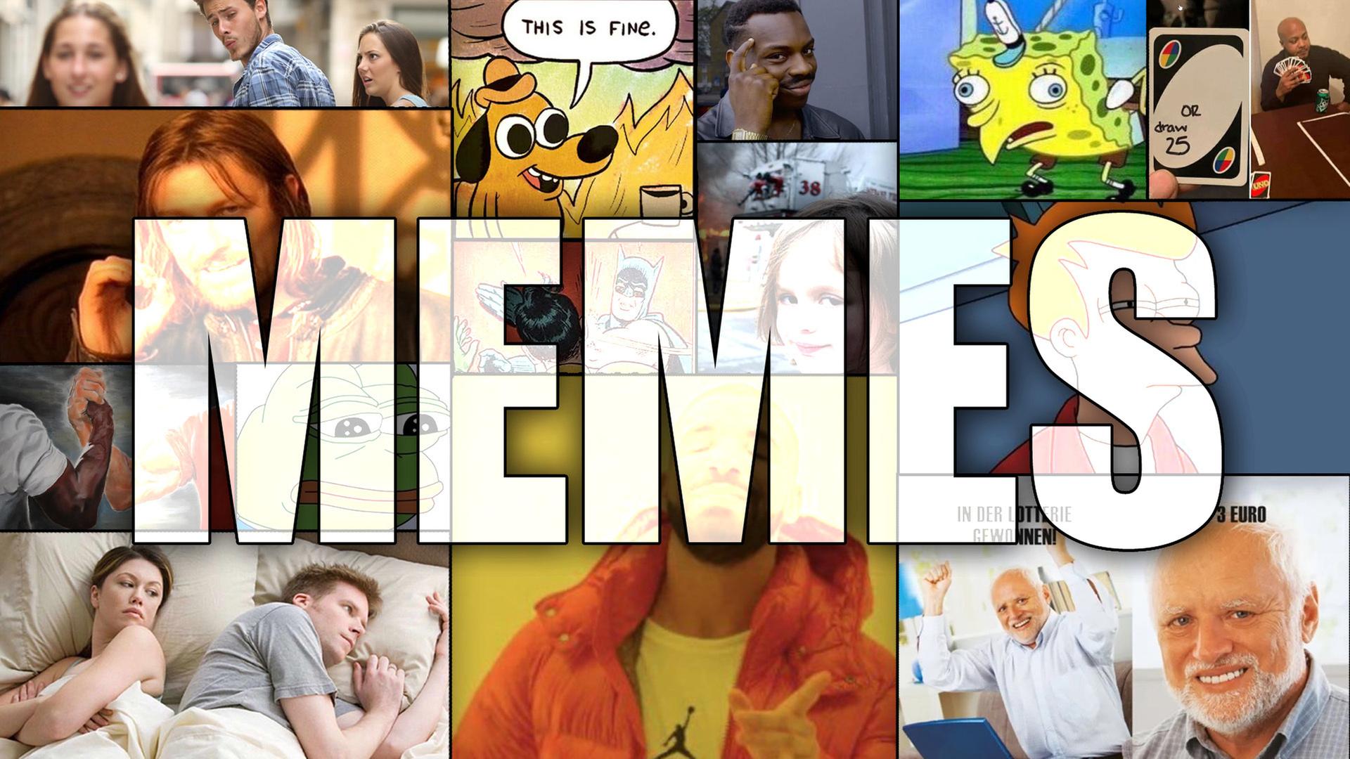 Wir sprechen mit einer Meme-Forscherin!