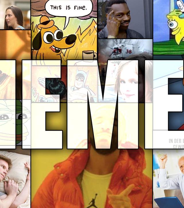 Wir sprechen mit einer Meme-Forscherin!