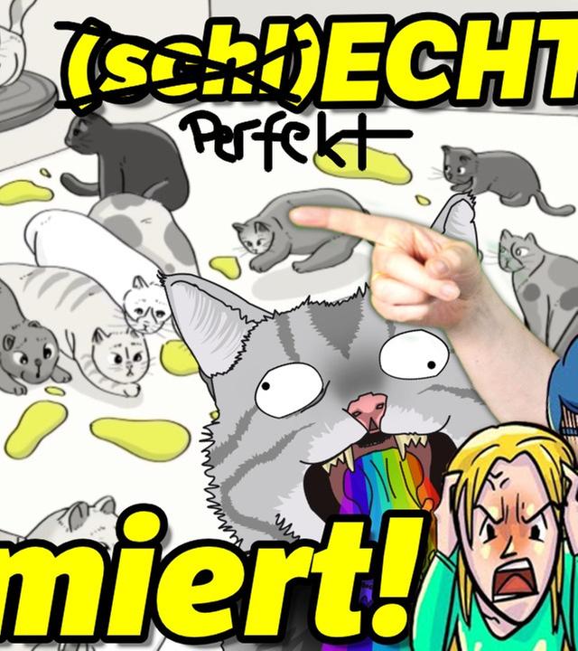 WIRKLICH WAHR! ? MinuteVideos hat uns KOTZENDE KATZEN animiert! ? FEAT. STIMME VON ECHT PASSIERT!