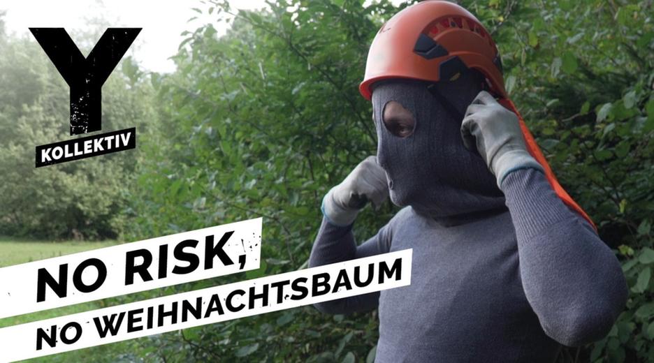 Woher kommt Dein Weihnachtsbaum? Warum Menschen auf 40 Meter hohe Tannen klettern